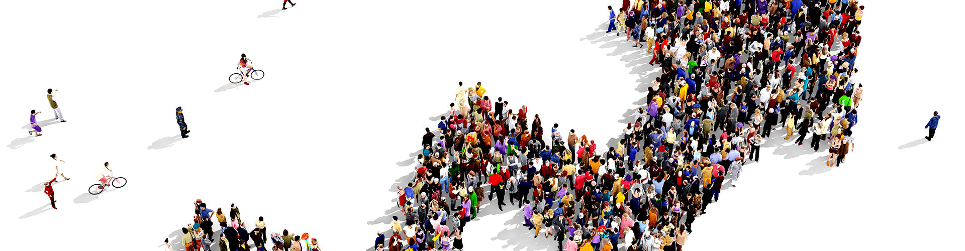 App- & Software-Entwicklung