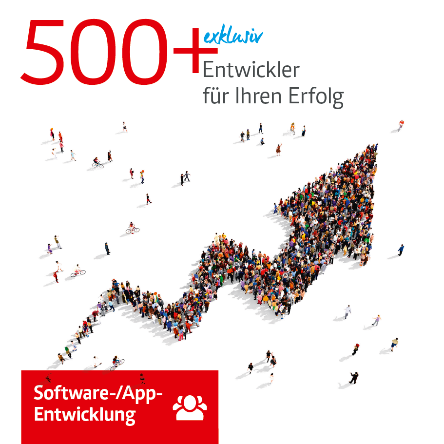 Flyer Software-Entwickler