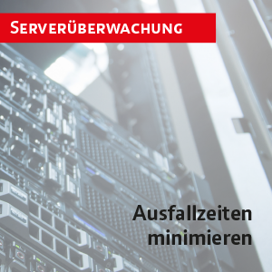 Flyer Serverueberwachung